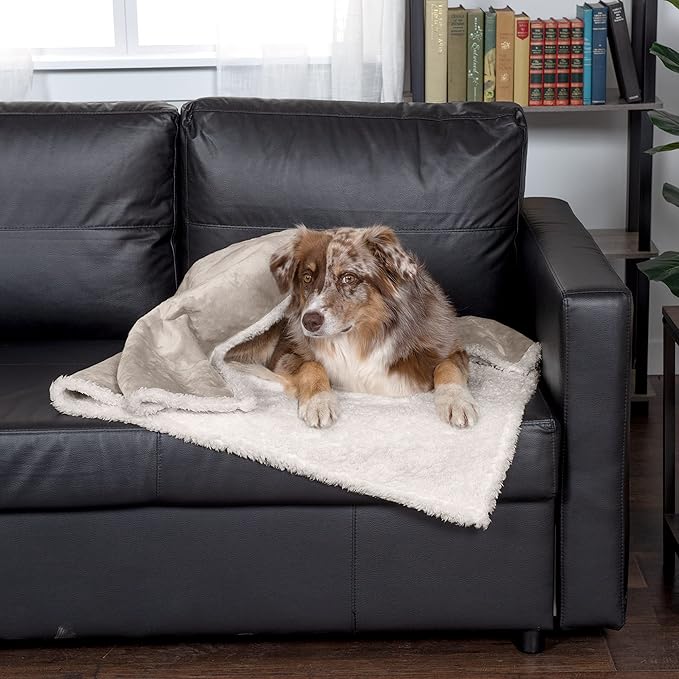 Furhaven Waterproof & Self-Warming Throw Blanket for Dogs & Indoor Cats, Washable & Reflects Body Heat - Soft-Edged Terry & Sherpa Dog Blanket - Dove, Large