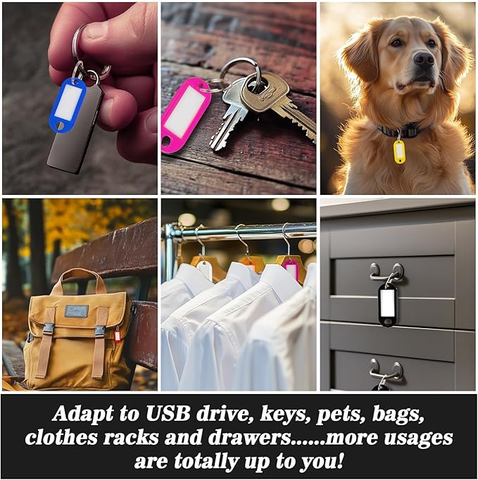 Sukh 100 PCS Key Ring Tags - Key Tags Plastic 10 Assorted Colours,Identifiers,Name and Labels,Adapt to USB Drive,Keys,Pets,Bags,Clothes Racks and Drawers,Rectangular 2.1x4.6cm