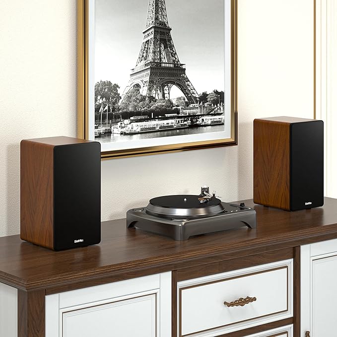 Saiyin Bluetooth Bookshelf Speakers, 40W X 2 Powered TV Speakers with 4 Inch Woofer, Turntable Speakers with Optical/AUX Input/Subwoofer Line Out for PC and TVs