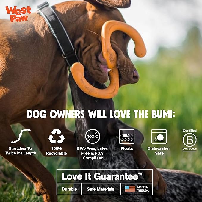 West Paw Design Zogoflex Bumi Dog Toy