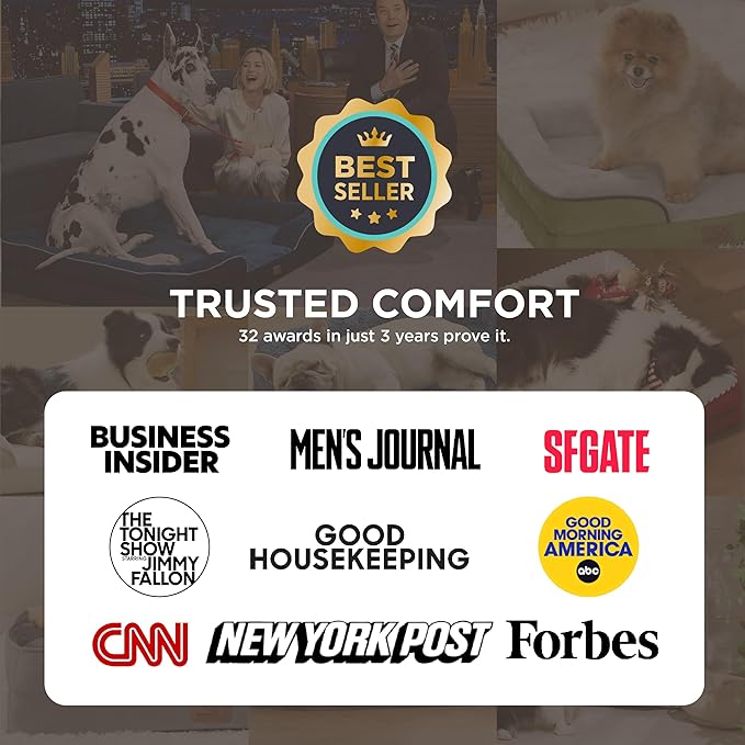 Bedsure Orthopedic Dog Beds for Small Dogs - Washable Small Dog Cat Bed Waterproof, Comfort Pet Couch Sofa with Washable Removable Cover, Pets Bed with Nonskid Bottom, Grey, 24"