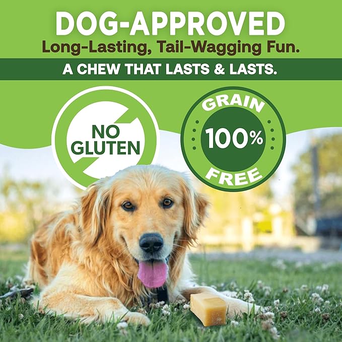 EcoKind Premium Gold Yak Cheese Himalayan Dog Chews, Dog Treats Large Breed, All Natural, High Protein, for Aggressive Chewers, Large - 5 Chews