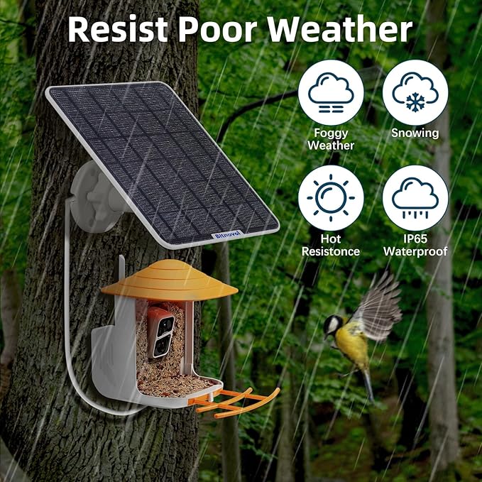 6W Upgraded Solar Panel for Security Camera,6V USB C Solar Charger Match to Rechargeable Battery Powered Bird Feeder Cam,Ring Camera Solar Panels with DC Micro-USB Port,9.8ft Cable 360° Swivel Bracket