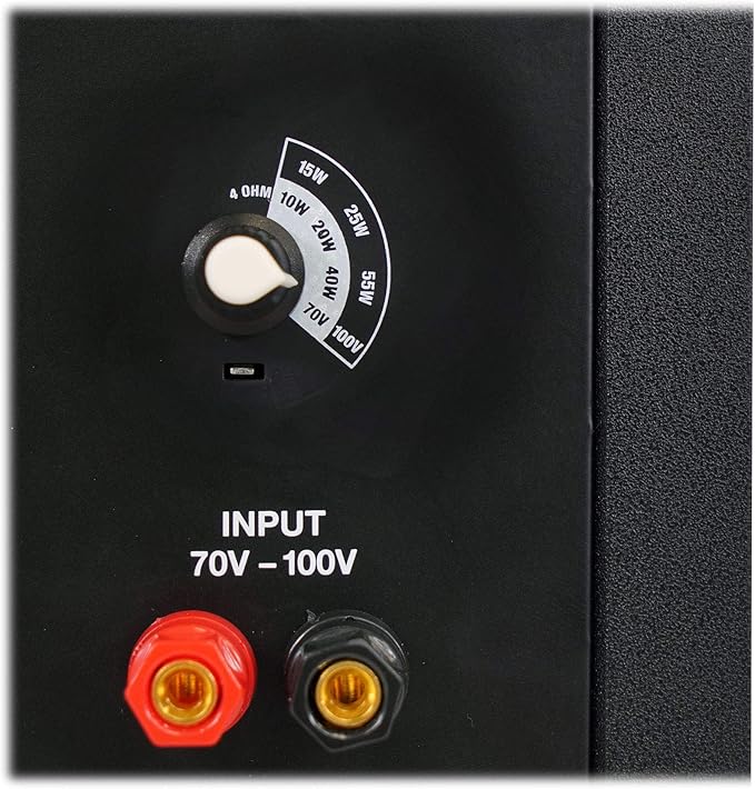 Rockville CT80 8" 70V Commercial Subwoofer, Wall-Mount Bracket, Deep Bass, Wide Frequency, Durable Build, for Restaurants and Conference Rooms