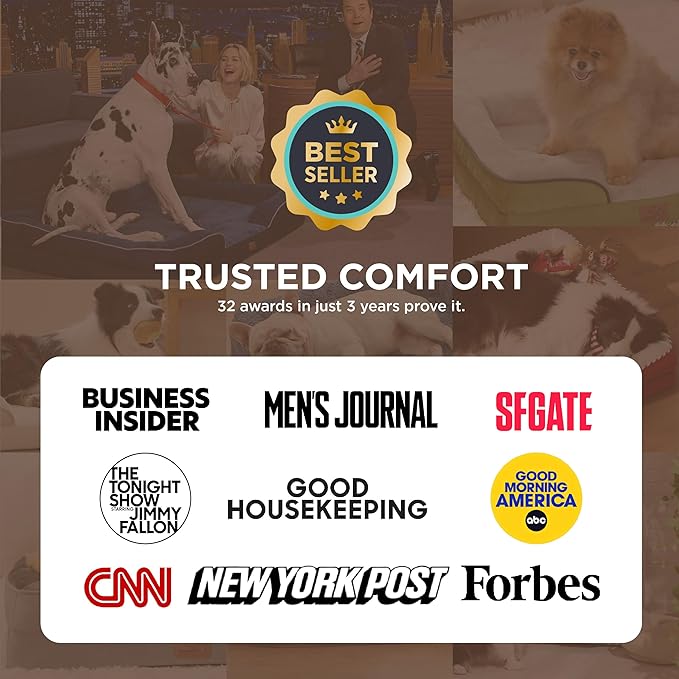 Bedsure Self Warming Orthopedic Dog Bed Medium Size Dogs - Washable Medium Dog Bed Waterproof, Comfort Pet Couch with Removable Cover, Pets Sofa with Nonskid Bottom, Brown, Non-Electric