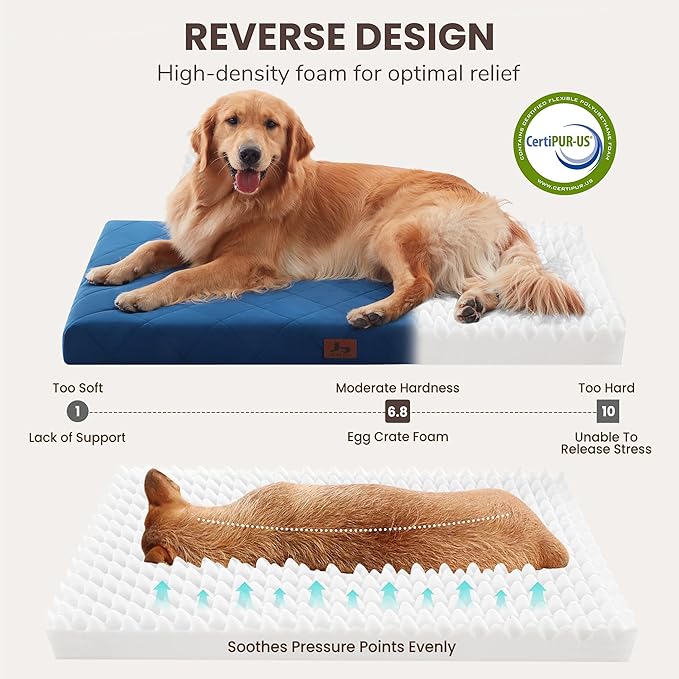 Orthopedic Dog Beds Large Medium Sized Dogs, Waterproof Dog Crate Bed with Removable Cover, Washable Pet Bed with Mat Egg Crate Foam, 35"x22"
