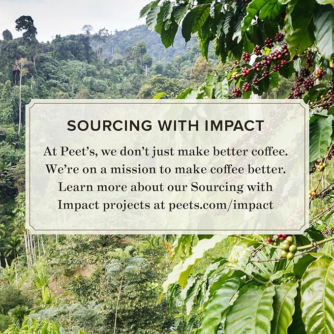 Peet's Coffee, Dark Roast Keurig K-Cup Pods - French Roast 10 Count (1 Box of 10 Pods)