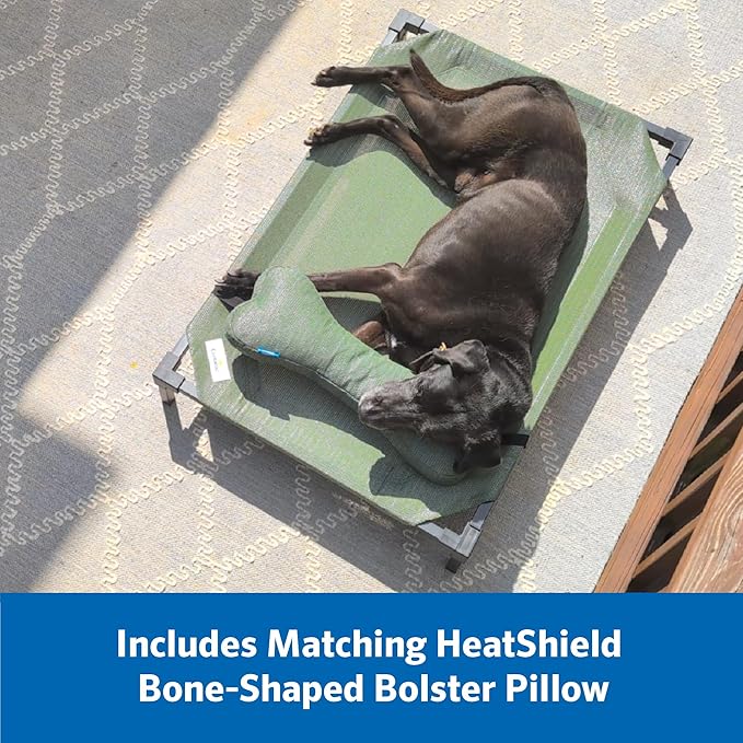 Coolaroo Pro Elevated Dog Bed with HeatShield Fabric – Advanced Cooling Raised Cot for Medium & Large Breeds, Easy-Clean, Low-to-Ground Access, Bonus Bolster Pillow – Everglade Green