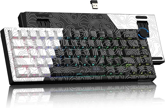 Womier Wireless Gaming Keyboard 60 Percent with QMK/VIA