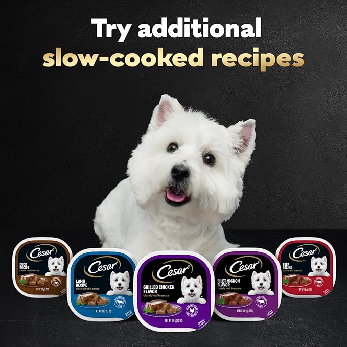 Cesar Wet Dog Food Classic Loaf in Sauce, Beef Recipe, Filet Mignon Flavor, Grilled Chicken Flavor, and Porterhouse Steak Flavor, 3.5 oz. Easy Peel Trays, Variety Pack of 24