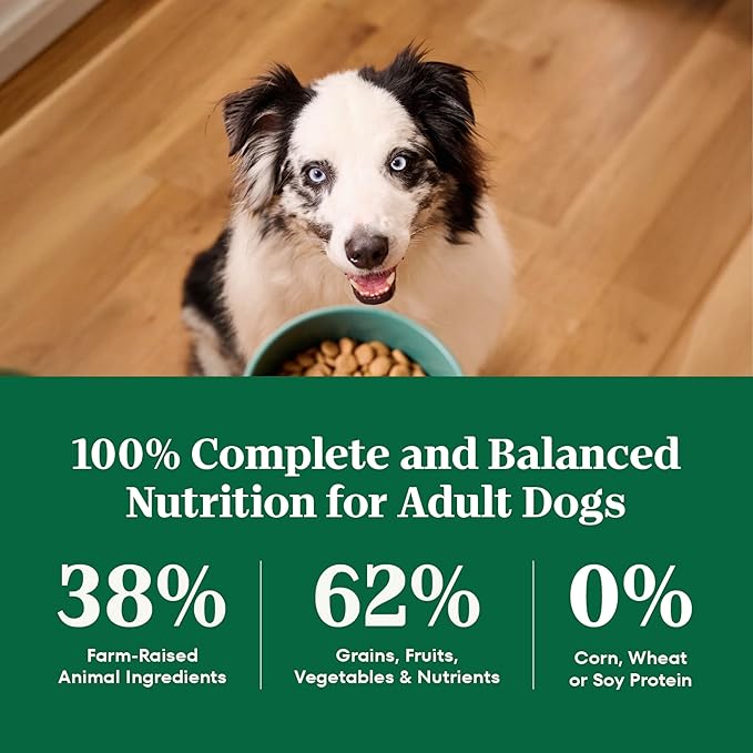 Nutro Natural Choice Adult Large Breed Dog Food Dry, Chicken & Brown Rice Recipe, 13 lb. Bag