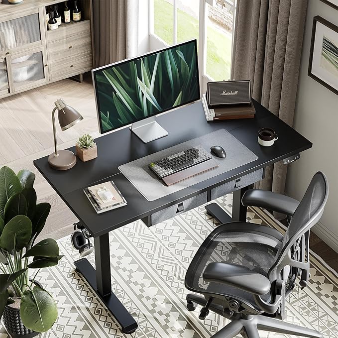 Agilestic Standing Desk with 2 Drawers, Adjustable Height Electric Desk with Storage, 63 x 24 Inches Sit Stand Up Computer Table for Work Office Home, Black