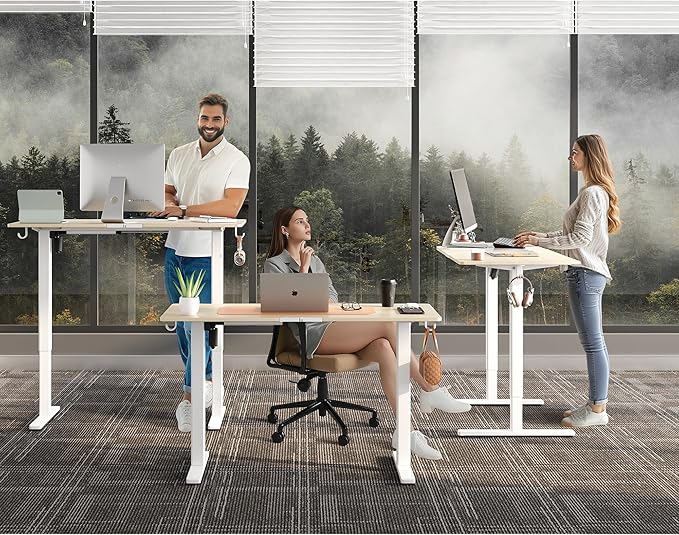 Electric Standing Desk48 x24 Adjustable Height Stand Up Desk with Lockable Wheels Ergonomic Sit Stand Desk for Work Office Home Computer Workstation (Nature)