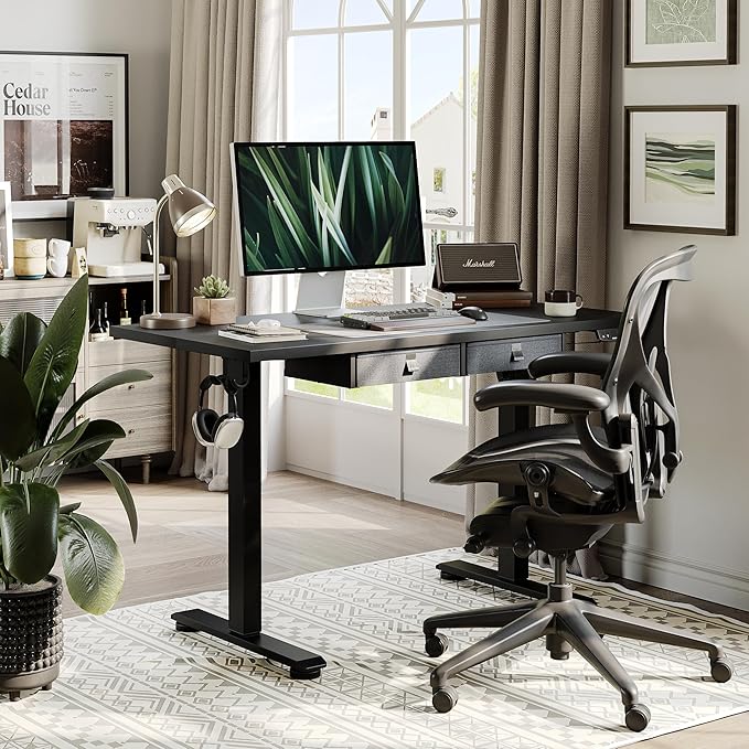 Agilestic Standing Desk with 2 Drawers, Adjustable Height Electric Desk with Storage, 63 x 24 Inches Sit Stand Up Computer Table for Work Office Home, Black