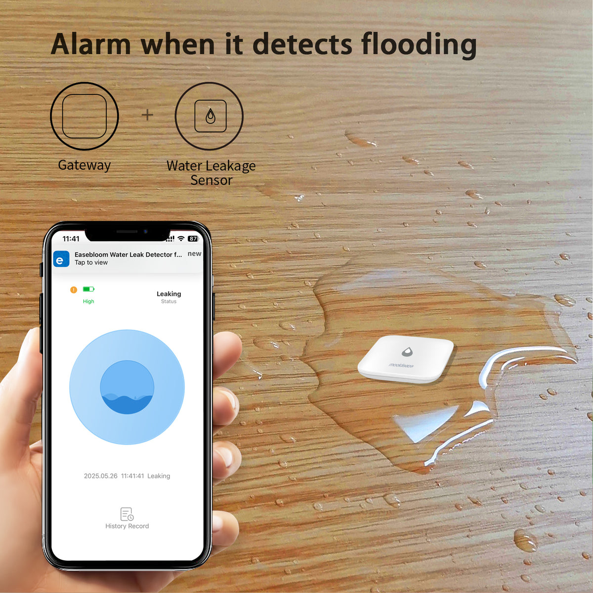Water Leak Detector for Home, Hub & Mini Sensor 4-Pack